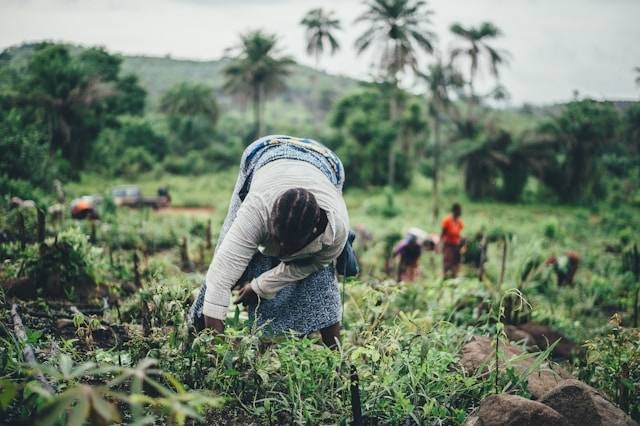 Ilustrasi Pengaruh Kerja Paksa. Foto: dok. Unsplash/Annie Spratt