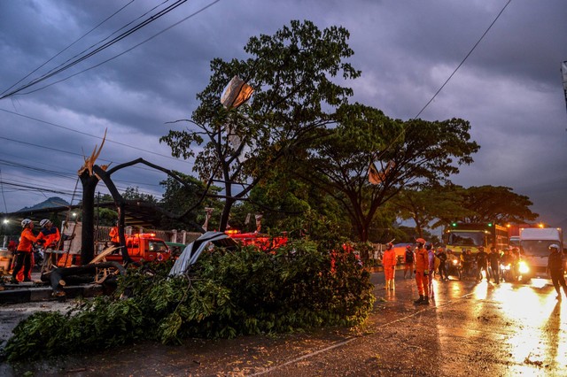 Petugas BPBD, Basarnas dan Dinas Pemadam Kebakaran mengevakuasi pohon tumbang pascaputing beliung di Jalan Nasional Bandung Garut di Rancaekek, Kabupaten Bandung, Jawa Barat, Rabu (21/2/2024). Foto: Raisan Al Farisi/ANTARA FOTO