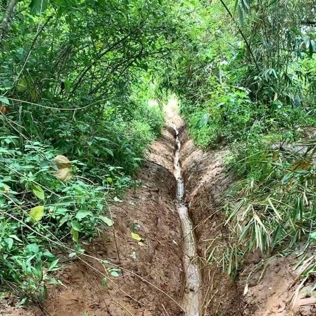 Penampakan Tahura yang rusak diterjang motor trail. Dok: @tahuradjuanda.official