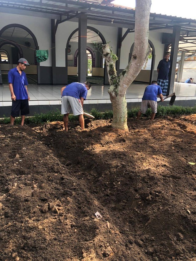 Giat Persiapan Lahan Pasca Panen Kacang sebagai Bagian dari Rehabilitasi