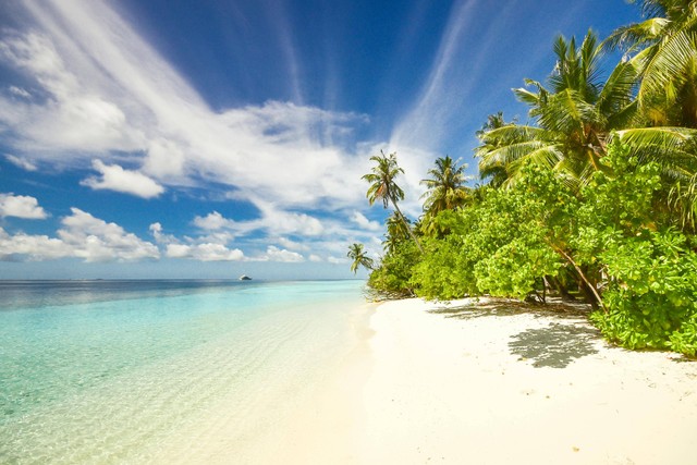 Pulau Gosong. Foto hanya ilustrasi, bukan tempat sebenarnya. Sumber: Pexels/Asad Photo Maldives
