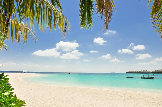 Pulau Gosong. Foto hanya ilustrasi, bukan tempat sebenarnya. Sumber: Pexels/Asad Photo Maldives