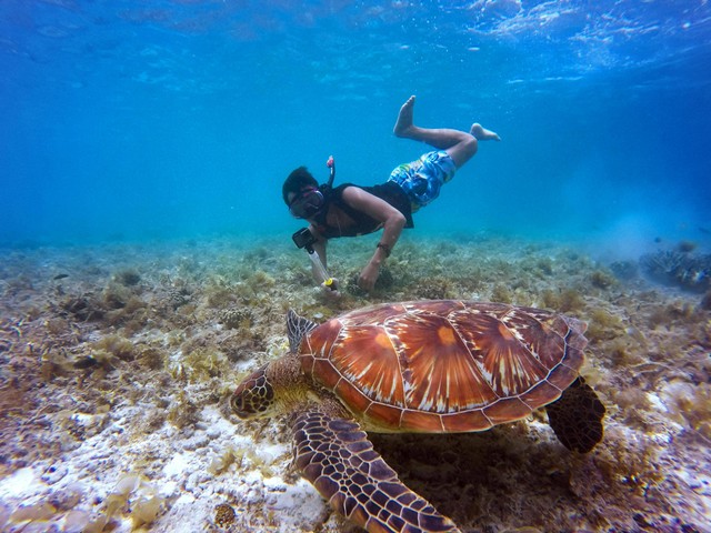 Spot Snorkeling di Pulau Seribu. Foto hanya ilustrasi, bukan tempat sebenarnya. Sumber: Pexels/John Cahil Rom