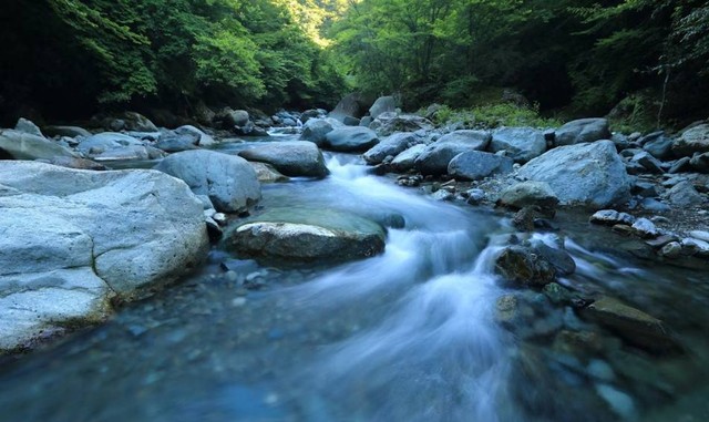 Sungai Palayangan. Foto hanyalah ilustrasi bukan tempat sebenarnya. Sumber: Unsplash/kazuend