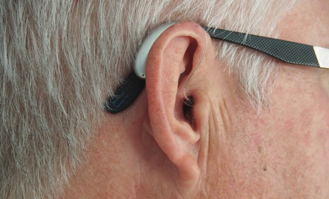 Ilustrasi fungsi tulang martil pada telinga - Sumber: unsplash.com/@mark0polo