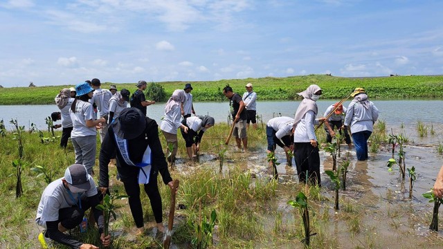Suasana penanaman Mangrove di Pantai Samas. Foto: M Wulan