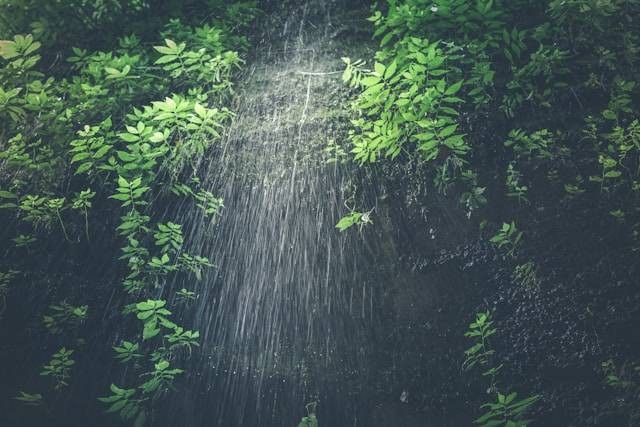 Gembleng Waterfall. Foto hanyalah ilustrasi, bukan tempat yang sebenarnya. Sumber: Unsplash/Artem Beliaikin