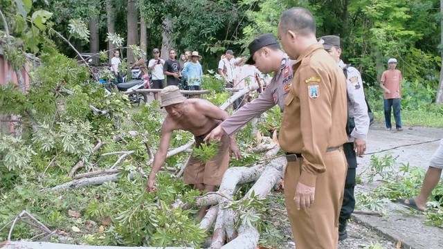 Polisi saat menunjukan lokasi meninggalnya seorang siswa SD karena terkena pohon randu yang tumbang. Foto: Dok. Istimewa
