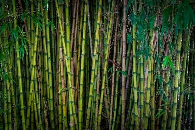 Ilustrasi Bambu Hoki Sebaiknya Ditaruh di Mana. Foto: dok Unsplash/Nick Fewings