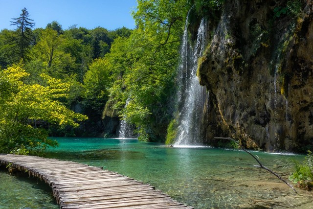 [Ulu Petanu Waterfall] Foto hanya ilustrasi, bukan tempat sebenarnya. Sumber: unsplash/Ilse