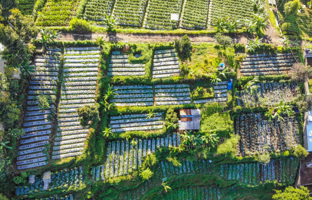 Wetland Park Cisurupan. Foto hanya ilustrasi, bukan tempat sebenarnya. Sumber: Unsplash/Devon Daniel