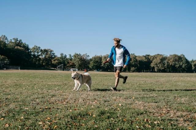 Ilustrasi kenapa anjing mengejar kita, sumber foto: Zen Chung by pexels.com