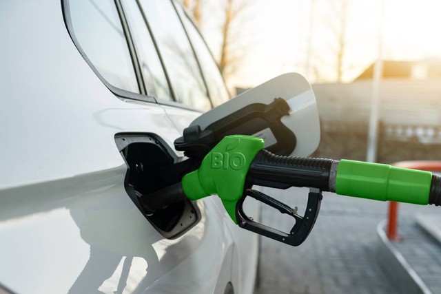 Ilustrasi bio fuel. Foto: Scharfsinn/Shutterstock