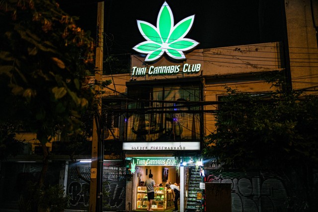 Seorang pria membeli produk di toko apotik ganja di kawasan Sukhumvit, Bangkok, pada 6 Februari 2024. Foto: Amaury Paul/AFP