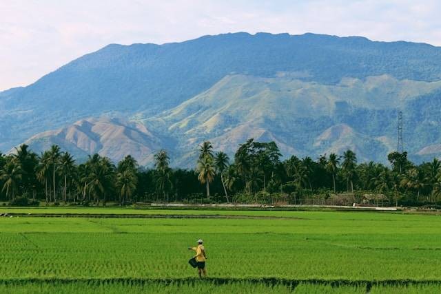 Ilustrasi persebaran tanah aluvial. Sumber: unsplash.com/Sandy Zebua