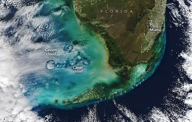 Penampakan awan aneh di utara Florida Keys tampak seperti ubur-ubur raksasa. Diambil oleh satelit Terra NASA pada Januari 2024.  Foto: NASA
