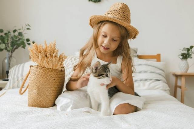 Ilustrasi cara bermain dengan kucing, sumber foto: KATRIN BOLOVTSOVA by pexels.com