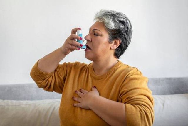 Ilustrasi Asma Merupakan Gangguan Pada Sistem Respirasi Yang Mengakibatkan, Foto: Unsplash/bymuratdeniz.