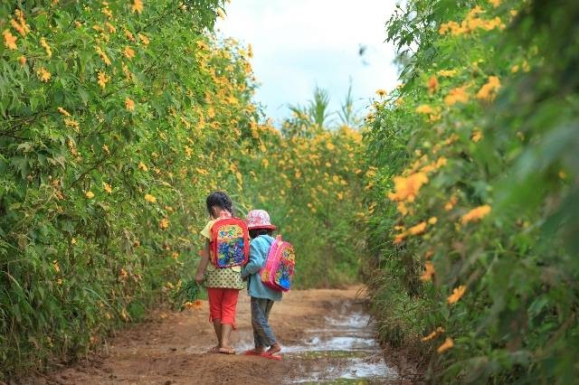 Ilustrasi Little Farmers Bandung(Bukan Gambar Sebenarnya)|Pexels|Quang Nguyen Vinh