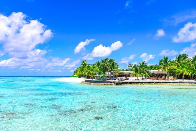 Cara ke Pulau Dolphin. Foto hanya ilustrasi, bukan yang sebenarnya. Sumber: Pexels/Asad Photo Maldives