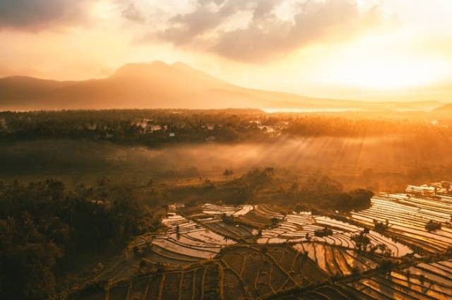 Ilustrasi alasan jepang menjajah indonesia, sumber foto: Stijn Dijkstra by pexels.com