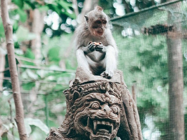 tempat wisata Bali yang berdekatan. Foto hanya ilustrasi, bukan tempat sebenarnya. Sumber: Unsplash/kutan ural