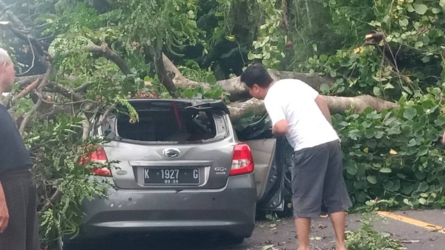 Pohon tumbang di Tanjakan Tanah Putih Kota Semarang menimpa sebuah mobil. Foto: Dok. Istimewa