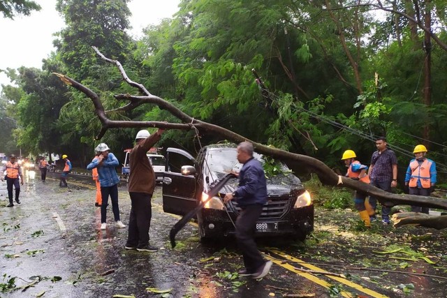 Longsor dan pohon tumbang terjadi di sejumlah titik di Kota Semarang. Foto: Dok. Istimewa