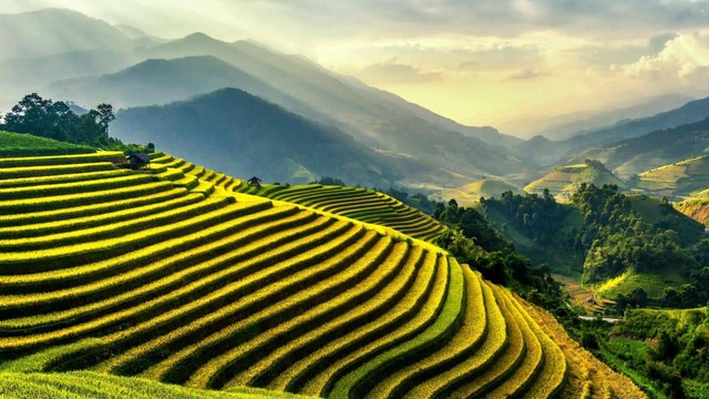 Ilustrasi apa bidang pertanian di kawasan Asia Tenggara - Sumber: Pexels/Thanhhoa Tran