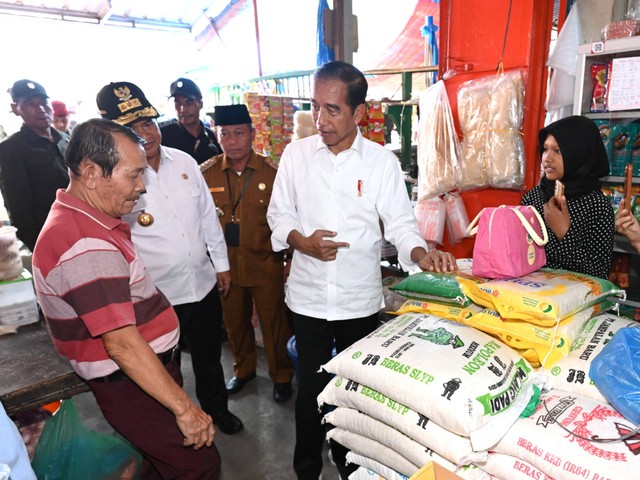 Presiden Jokowi meninjau harga kebutuhan pokok di Pasar Kawat Tanjungbalai. Foto: Kris/Biro Pers Sekretariat Presiden