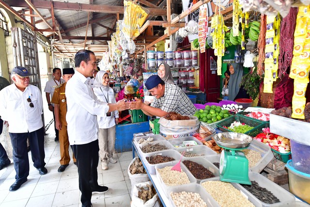 Presiden Jokowi meninjau harga kebutuhan pokok di Pasar Kawat Tanjungbalai. Foto: Kris/Biro Pers Sekretariat Presiden