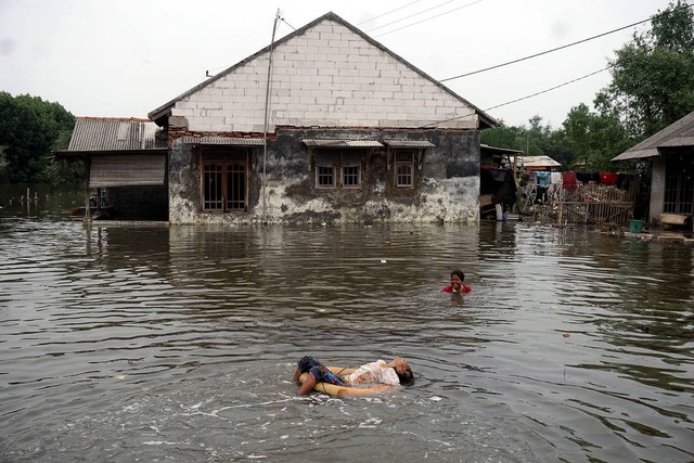 Sebagai ilustrasi: Banjir rob di Desa Pantai Mekar, Muara Gembong, Kabupaten Bekasi, Jawa Barat, Selasa (7/12/2021). Foto: Iqbal Firdaus/kumparan