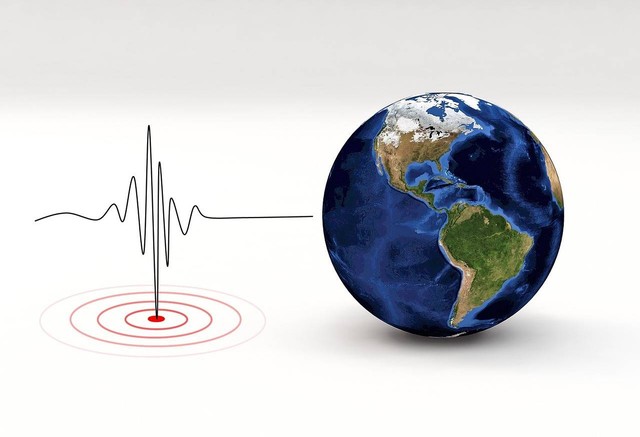 Ilustrasi Perbedaan seismograf dan seismometer - Sumber: pixabay.com/tumisu