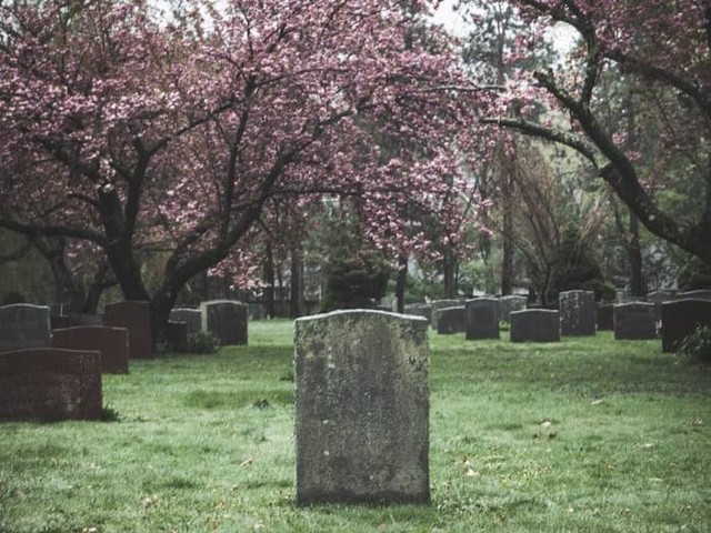 Ilustrasi Makam Wali Pitu (Foto hanya ilustrasi, bukan tempat sebenarnya) Sumber: unsplash.com/ John Thomas