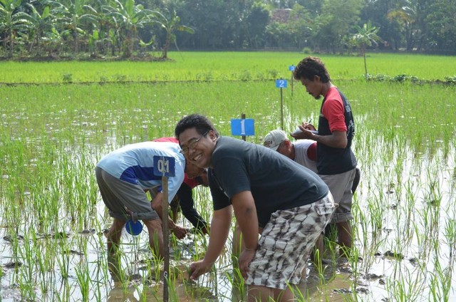 Sekolah Lapangan Perubahan Iklim