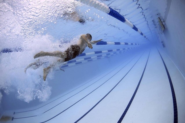Ilustrasi teknik dasar berenang gaya bebas. Foto: pixabay