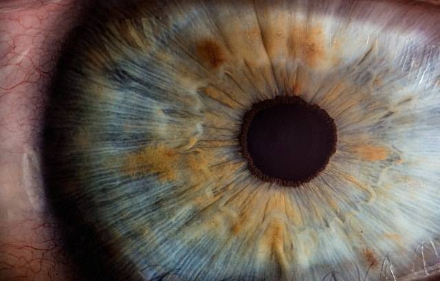 Sifat bayangan yang terbentuk di retina mata adalah. Foto hanya ilustrasi. Sumber foto: Unsplash/v2osk