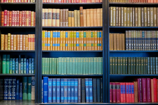 Ilustrasi koleksi buku. Sumber foto: Unsplash