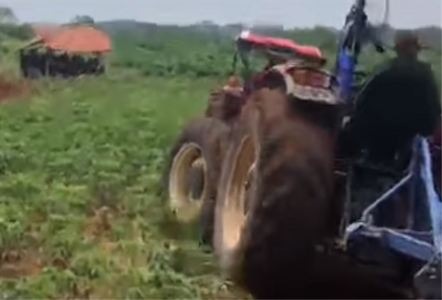 Penggusuran lahan garapan petani Kota Baru oleh Pemprov Lampung. | Foto: tangkap layar instagram/lbh.bandarlampung