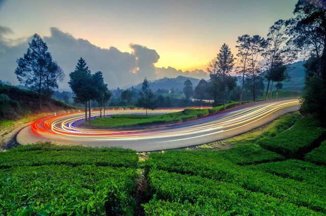 Ciwidey Bandung Mana. Foto hanya ilustrasi bukan tempat sebenarnya. foto: Unsplash/Ache Dipro