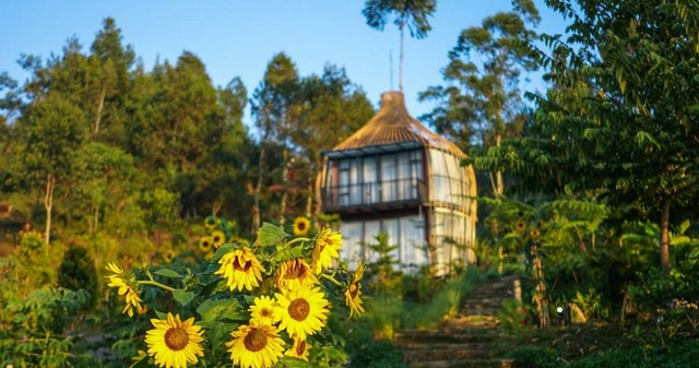 Green Hill Park. Foto hanyalah ilustrasi bukan tempat sebenarnya. Sumber: Unsplash/Fikri Rasyid