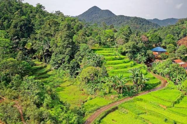 Ilustrasi sejak kapan kolonialisme portugis di indonesia, sumber foto: Tom Fisk by pexels.com