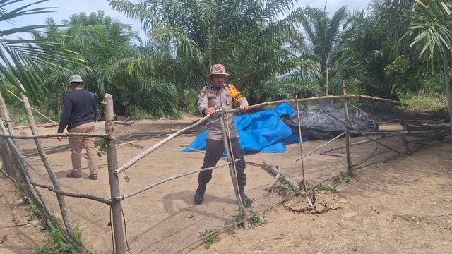 Polisi bongkar arena judi sabung ayam di Dusun Dakkae, Desa Sogi, Kecamatan Maniangpajo. Foto: Dok. Humas Polres Wajo
