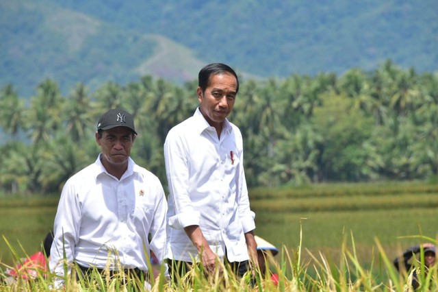 Presiden Joko Widodo didampingi Menteri Pertanian Amran Sulaiman meninjau panen raya di Kabupaten Sigi, Sulawesi Tengah, Rabu (27/3/2024). Foto: Kementan RI