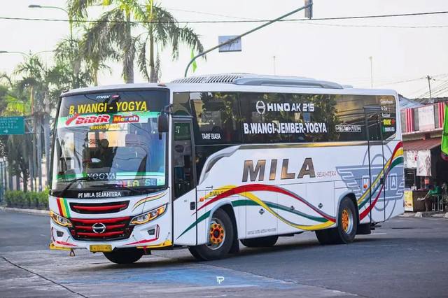 Bus Mila rute Yogya-Jember-Banyuwangi Foto: IG/@akasmilasejahtera_official