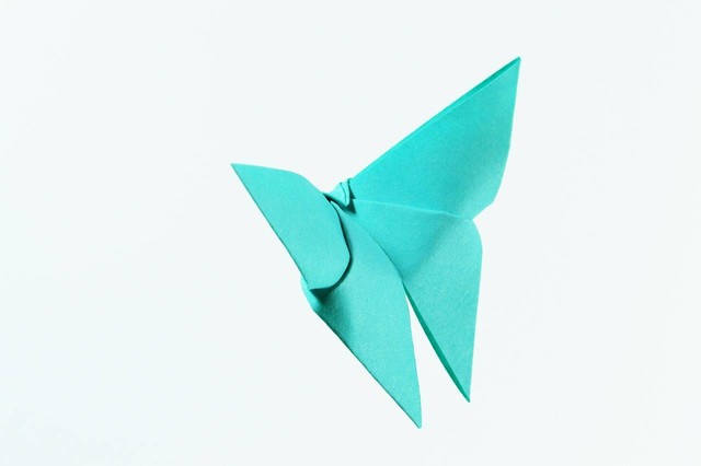Ilustrasi cara membuat origami hewan. Foto: Pixabay