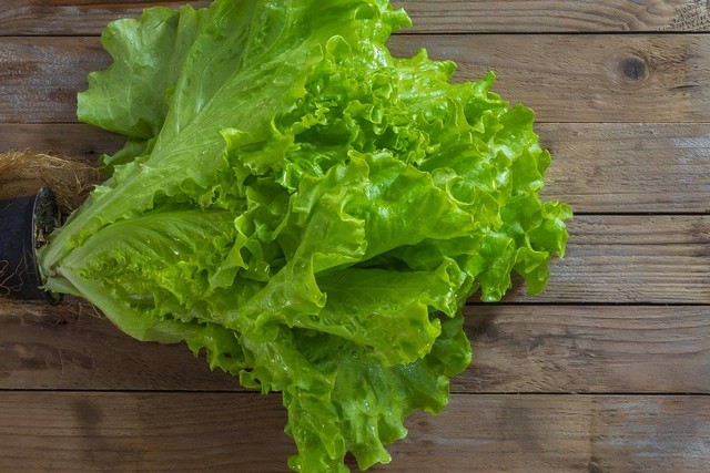 Ilustrasi tanaman sayur yang tidak butuh sinar matahari. Sumber: pixabay