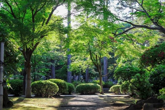 Taman di Tabanan. Foto hanya ilustrasi, bukan tempat yang sebenarnya. Sumber foto: Unsplash/Mtsjrdl