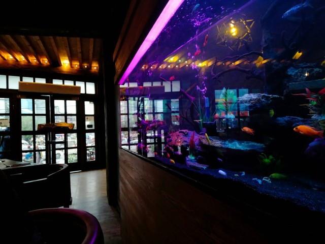 restoran bawah air di Bali. Foto hanya ilustrasi, bukan tempat sebenarnya. Sumber: Unsplash/muhammad ayan butt
