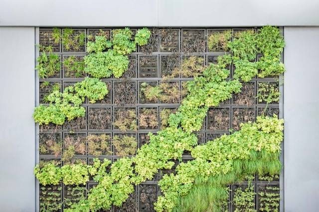 Cara Membuat Taman Vertikal di Balkon. Foto Hanya Ilustrasi. Sumber Foto: Unsplash.com/Pawel Czerwinski